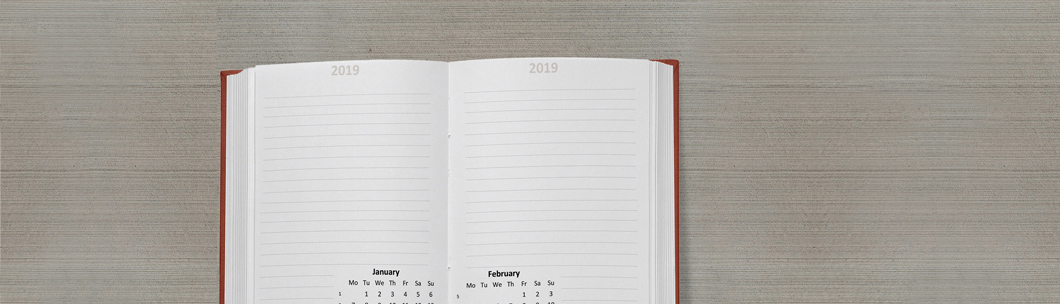 Destaques em 2019